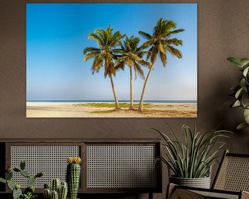 Plage de palmiers tropicaux à Oman. sur Ron van der Stappen