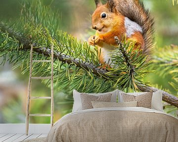 Das glückliche Eichhörnchen von Daniela Beyer