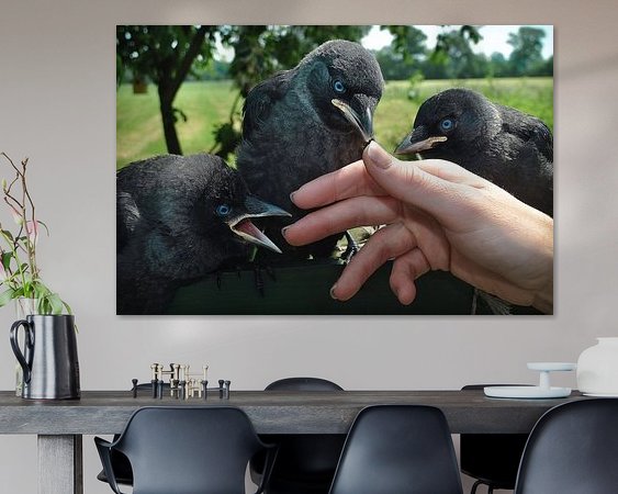 Voorbeeld van het werk in een kamer