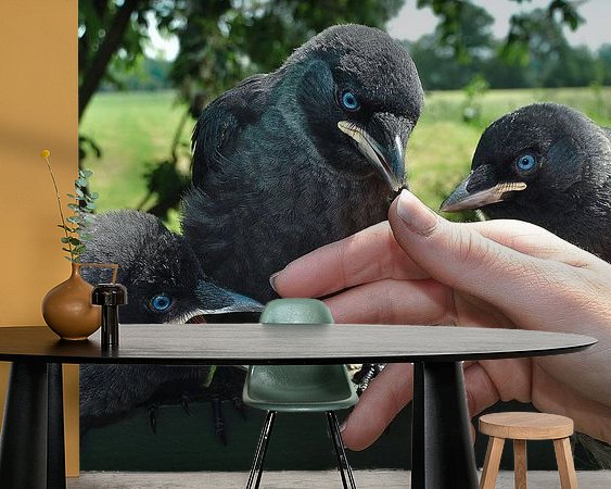Voorbeeld van het werk in een kamer