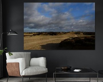 Morning sun on the Balloërveld by Bernard van Zwol