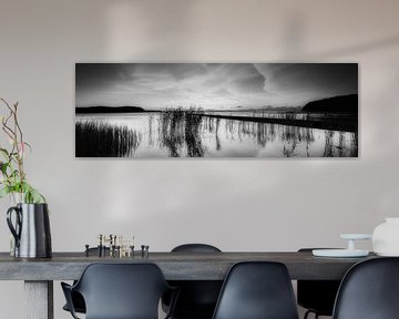 Eiland Rügen op de grote Bodden in zwart-wit. van Manfred Voss, Schwarz-weiss Fotografie