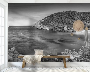 Bay with beach on the island of Ibiza in black and white . by Manfred Voss, Black-White Photography