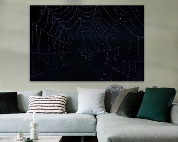 Close-up van een spinnenweb met regendruppels van Wolfgang Unger