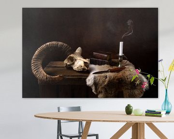 The one-horned sheep van John Goossens Photography