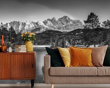 Der Eibsee in Bayern mit Zugspitze in schwarzweiss .