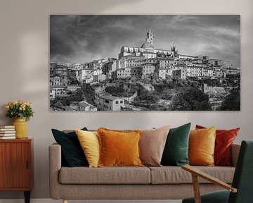 The cathedral and the old town of Siena in black and white . by Manfred Voss, Schwarz-weiss Fotografie