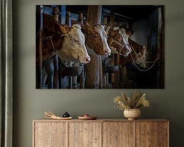 Koeien op oude stal van Albert Brunsting