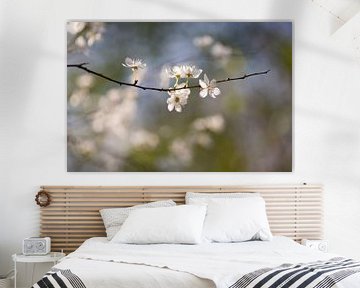 White blossom against a sparkling background (Japanese style) by Birgitte Bergman