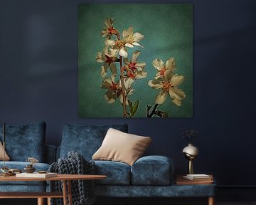Fleur d'amandier sur fond bleu