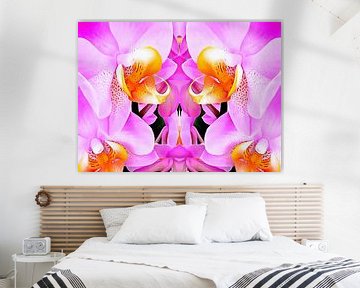 Roze Orchidee Patroon van Dorothy Berry-Lound