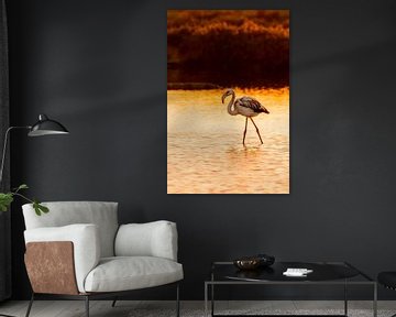 Flamingo during sunset by Femke Ketelaar