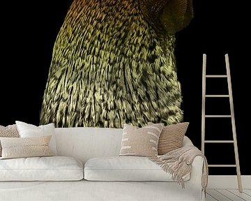 Amber Avifauna - Porträt eines Vorführhahns