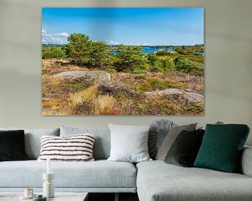 Landschaft auf der Insel Merdø bei Arendal in Norwegen von Rico Ködder