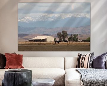 Campagne américaine