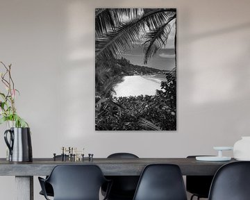 Strand met palmbomen op La Digue op de Seychellen. Zwart en wit  van Manfred Voss, Schwarz-weiss Fotografie
