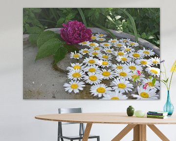 Flowers in a puddle of water by Claude Laprise