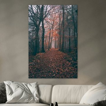 Vegelinbos friesland