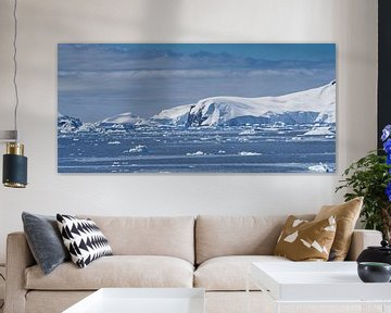 Antarctisch Panorama van Kai Müller