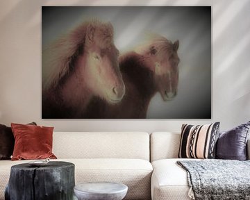 Icelander horses by Gert-Jan Siesling