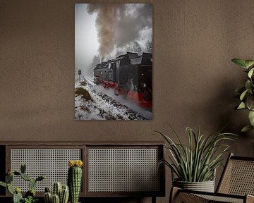 The Brocken Railway on the Goethe Trail by t.ART