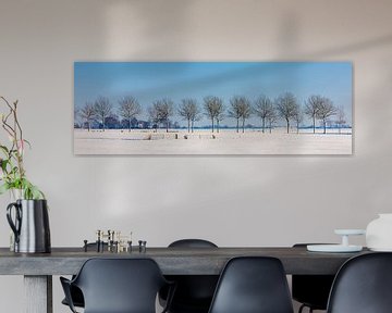 Winter panorama in Groningen