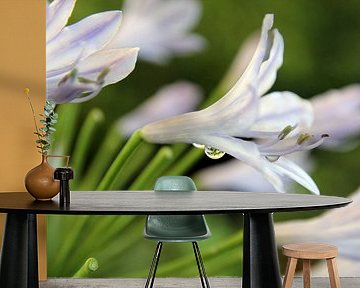 The Waterdrop by Cornelis (Cees) Cornelissen