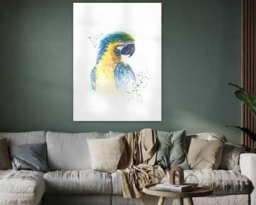 Papagei in Aquarell von Atelier DT