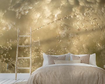 Natural gold by Moetwil en van Dijk - Fotografie