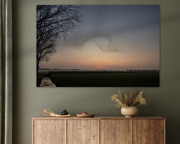 Starling fly show by Moetwil en van Dijk - Fotografie