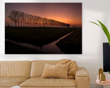 Mooie zonsondergang bij bomenrij van Moetwil en van Dijk - Fotografie