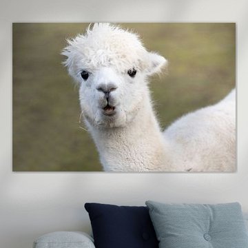 Überraschung im Tierreich