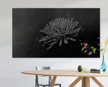 Flower. 