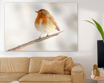 Robin sitting on a branch in winter by Mario Plechaty Photography