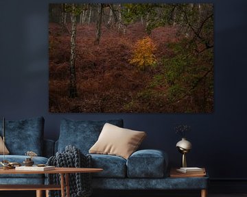 Goud boompje tussen de berkenbomen van Moetwil en van Dijk - Fotografie