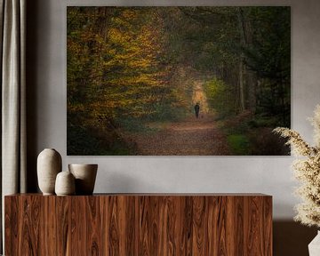Randonneur avec du miel dans la forêt d'automne sur Moetwil en van Dijk - Fotografie