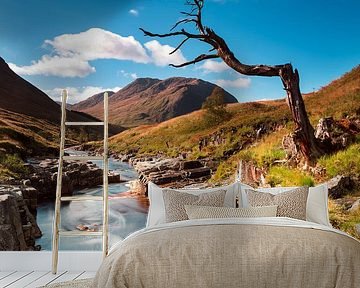 Eenzame boom bij rivier in Schotland