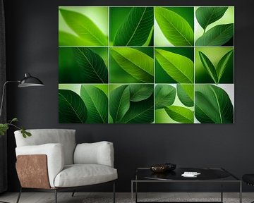 Green Leaves Set Illustration by Animaflora PicsStock