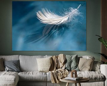 cold feather by Karin vanBijlevelt