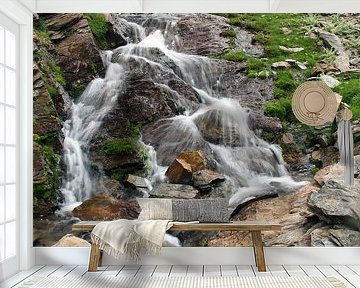 Defrost Water van Cornelis (Cees) Cornelissen