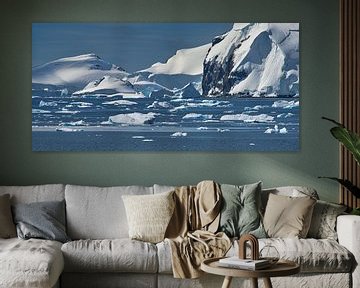 Glace flottante en Antarctique