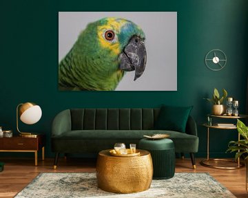 Groene amazone papegaai van Kimberley van Lokven