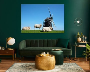 Windmill, Pellworm, Germany by Alexander Ludwig