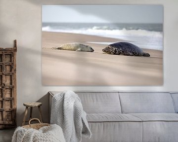Seal with cub on North Sea beach by PIX on the wall