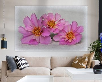 Fleur de cosmos avec relief floral sur Jose Lok