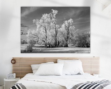 Winterlandschap in zwart/wit van t.ART