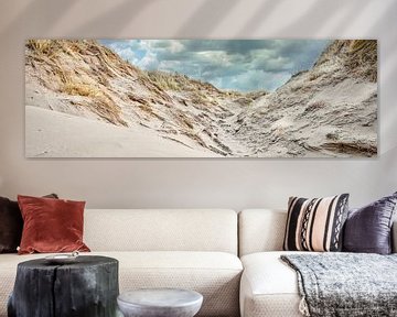 The coast with the dune in panorama during a storm by eric van der eijk