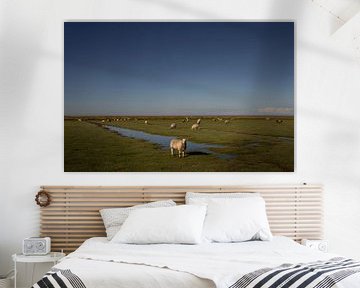 Des moutons paissent dans les marais salants de la côte de Groningue. sur Bo Scheeringa Photography