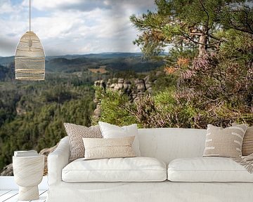 Großer Teichstein, Sächsische Schweiz - Heidekraut und Kantstein