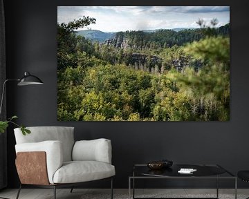 Großer Teichstein, Sächsische Schweiz - E-Flügel-Wand und Wald von Pixelwerk